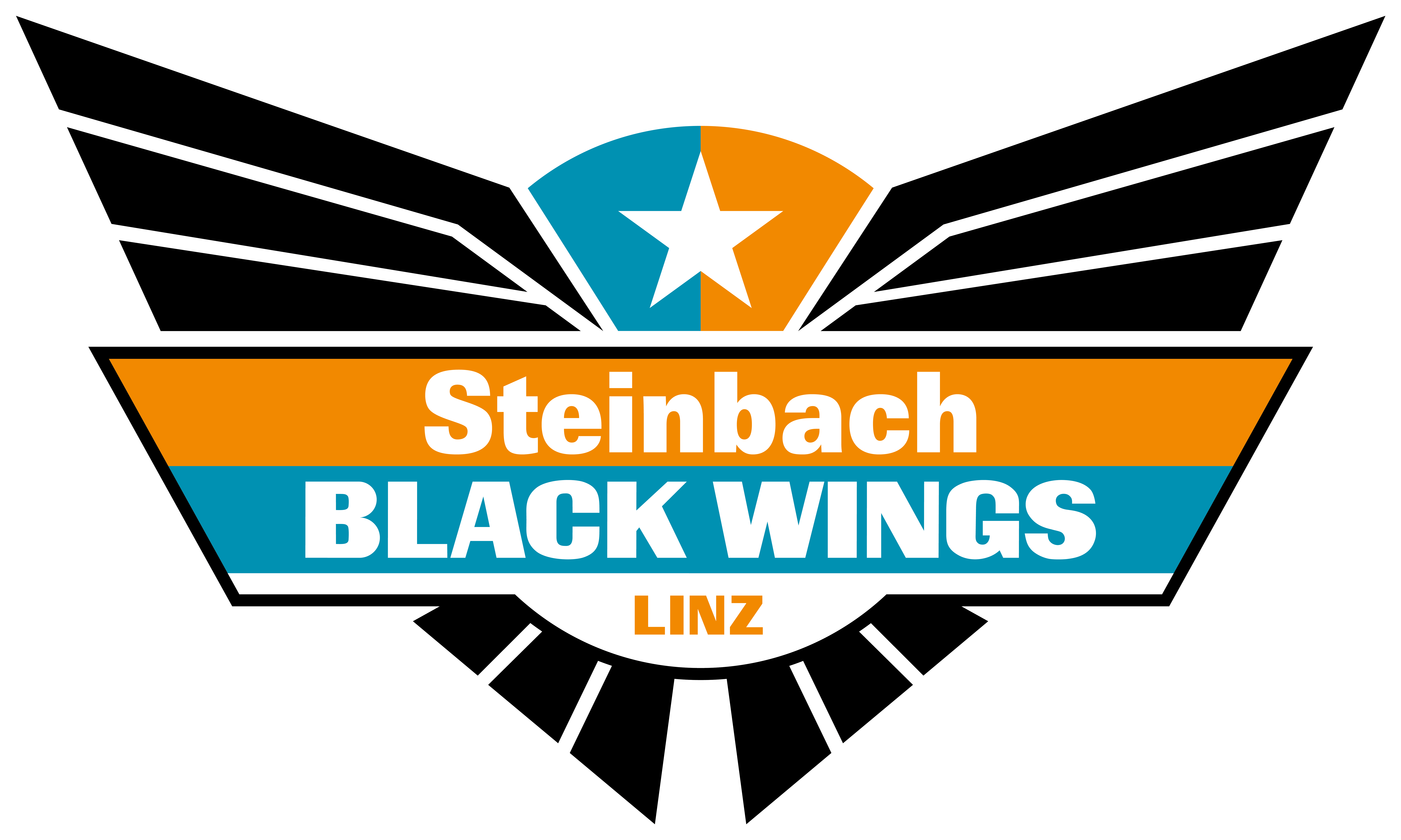 Steinbach Black Wings Linz